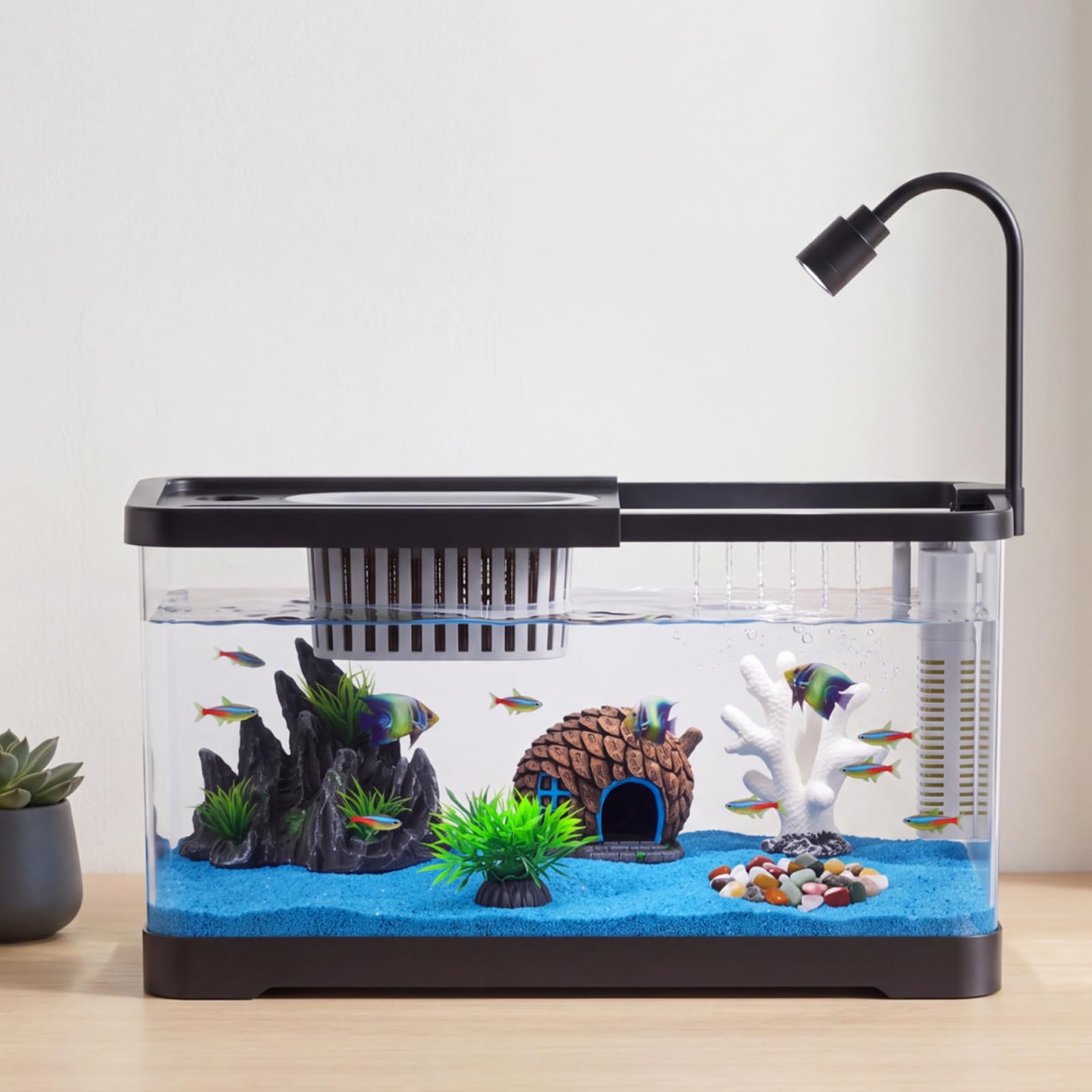 Fish Tank Starter Kit With Fil - Aquarium Fish Betta ulasan dan harga
