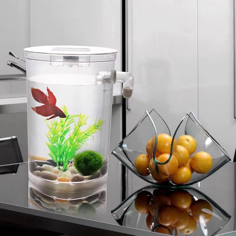 Lazy Free Water Change Desktop - Aquarium Fish Betta ulasan dan harga