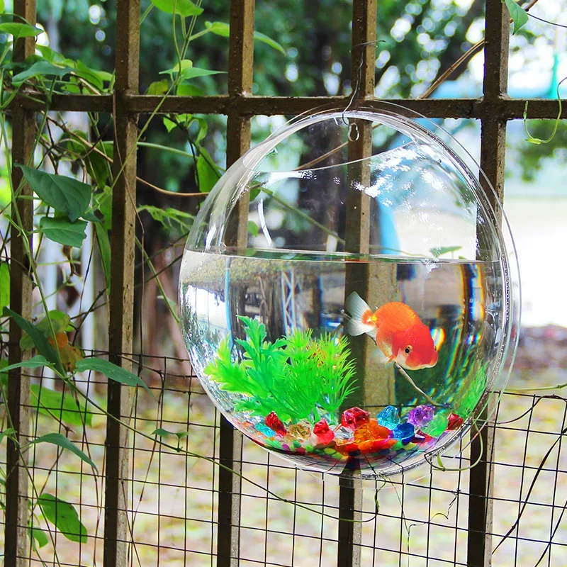 Pinsjar Acrylic Fish Bowl Wall - Aquarium Fish Betta ulasan dan harga