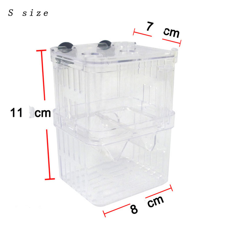 Peacock Fish Breeding Isolatio - Aquarium Fish Betta ulasan dan harga